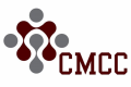 Prof. Carpick to give upcoming CMCC talk on mechanochemistry